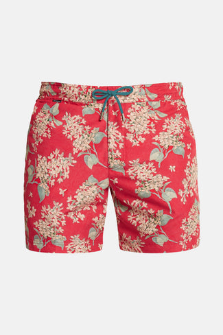 Blooms * The Print Swims Blooms * The Print Swims